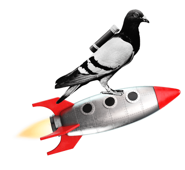 Rocket Pigeon