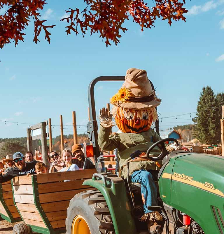 Pinehaven Farms tractor pull ride full of happy people and driven by Pumpkin Pete